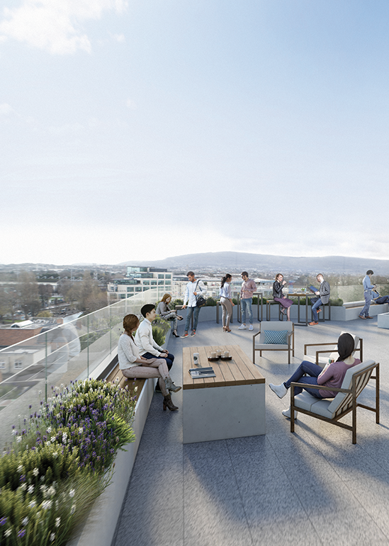 Socialising on the south-facing roof terrace at 35 Shelbourne Road 